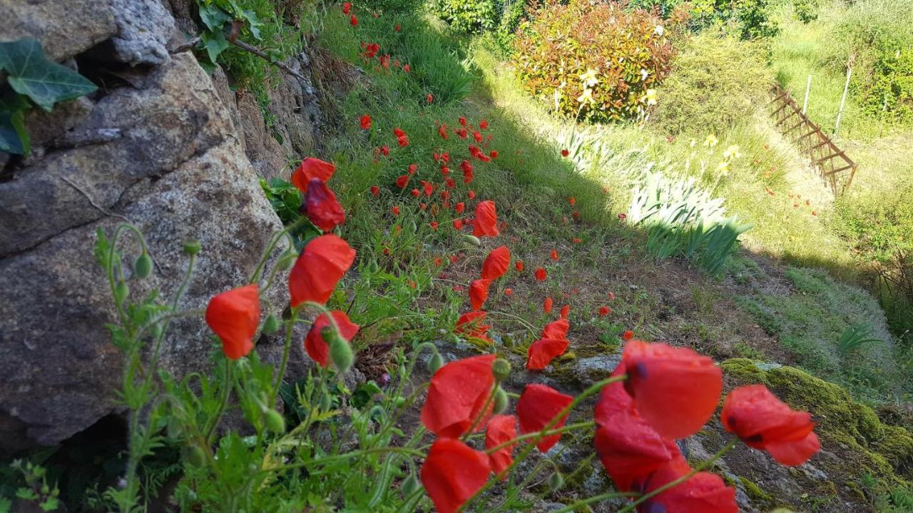 Le Chalet Du Parc Annonay Dış mekan fotoğraf
